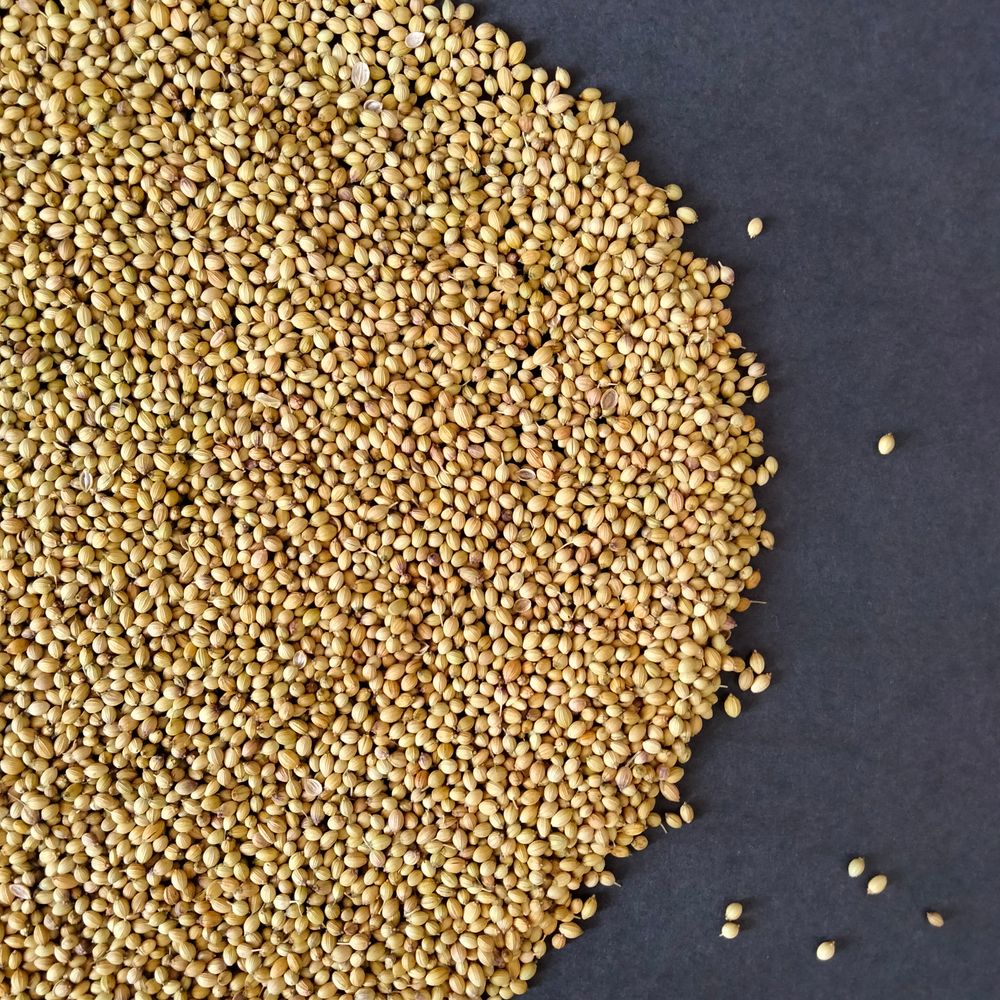 Coriander, Ground